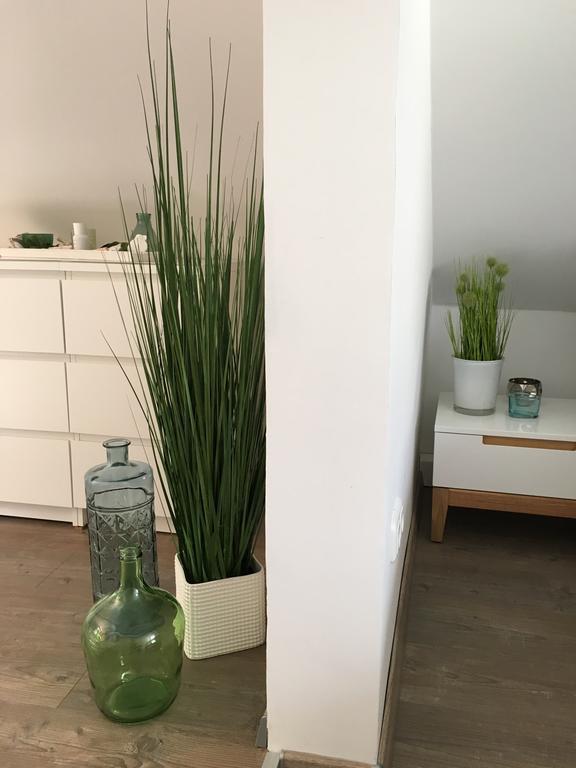 Ferienhaus Zur Mainpforte Magonza Esterno foto