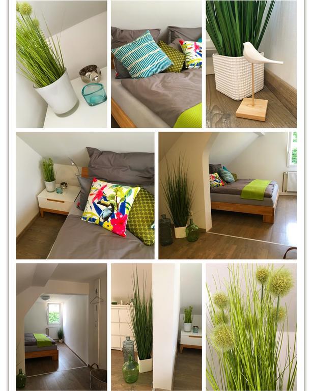 Ferienhaus Zur Mainpforte Magonza Esterno foto